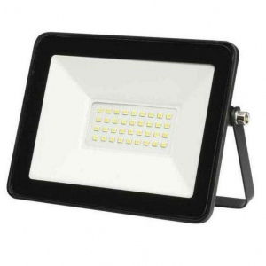 REFLECTOR DE 30 WATTS LUZ BLANCA 110 VOLTS