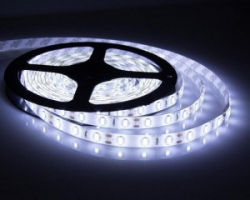 ROLLO DE TIRA LED 5050 BLANCO 12 VOLTS 5 METROS 